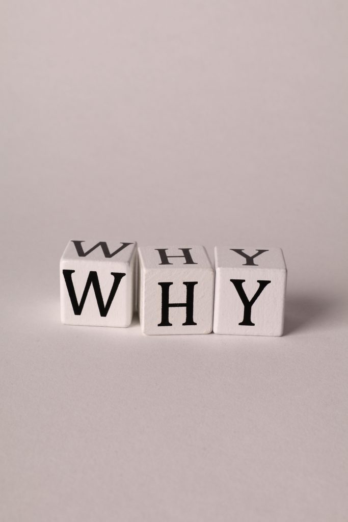 Why Startups Should Start with SEO from Day 1 [Case Study part I]