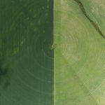 What are your best free link building methods that still work?